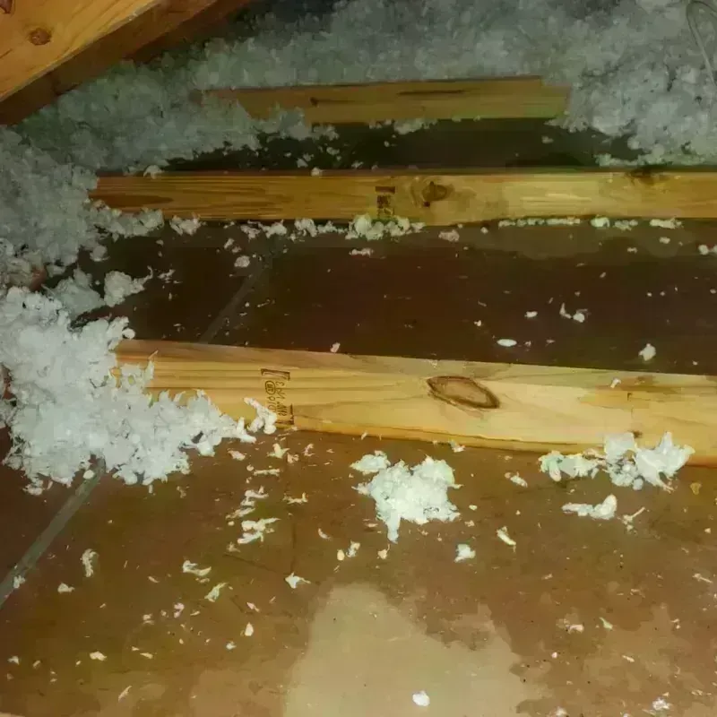 Attic Water Damage in Penobscot, ME